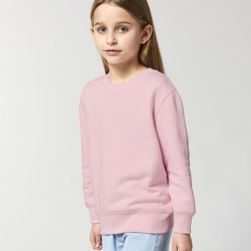 Stanley/Stella Kids Mini Changer 2.0 iconic crew neck sweatshirt (STSK181) SX704 Kids Mini Changer 2.0 iconic crew neck sweatshirt (STSK181) Thumbnail